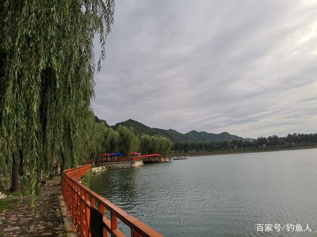 草鱼这个钓法最近火了，简单易上手，新手一学就会