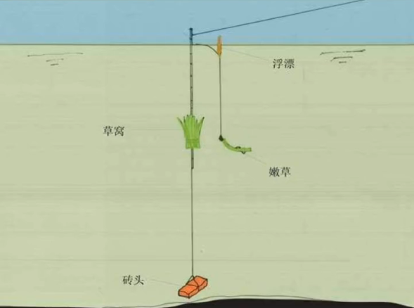 路亚竿浮钓草鱼，除了线组和钓位，这一点才是提升渔获的关键